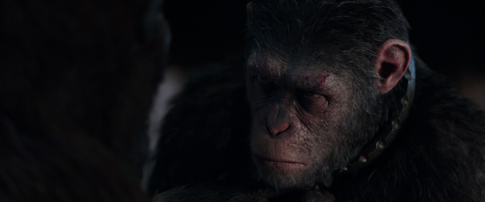 War for the Planet of the Apes (2017) movie still 11842