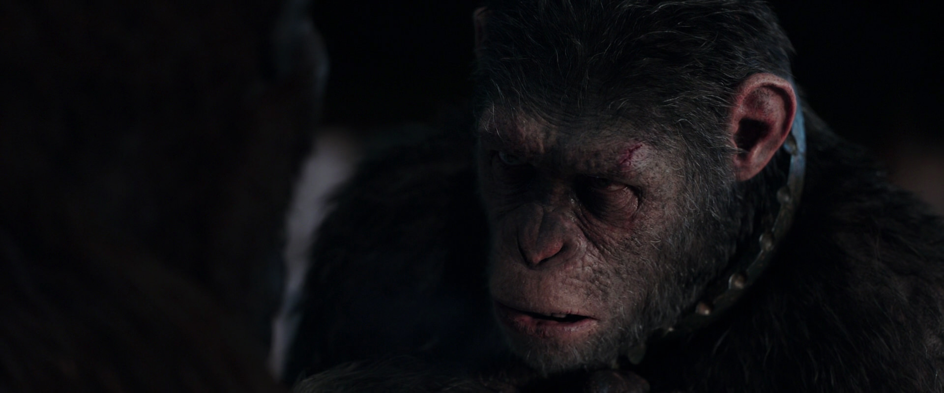 War for the Planet of the Apes (2017) HD screenshot 11843