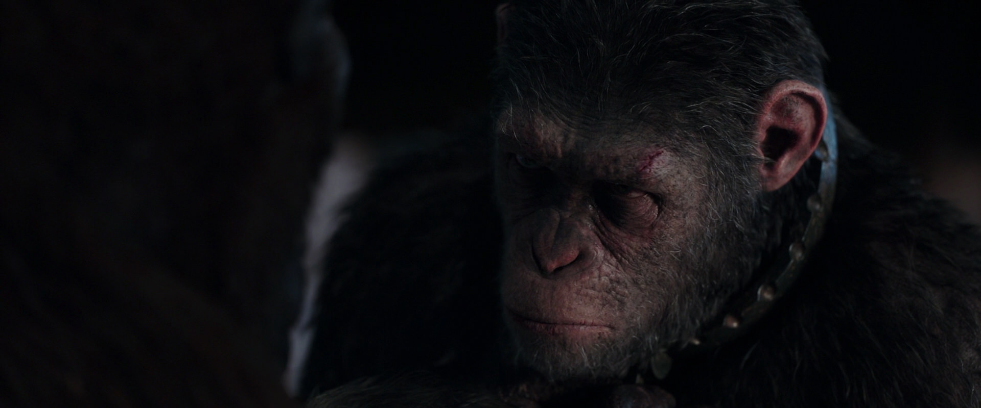 War for the Planet of the Apes (2017) screencap 11844