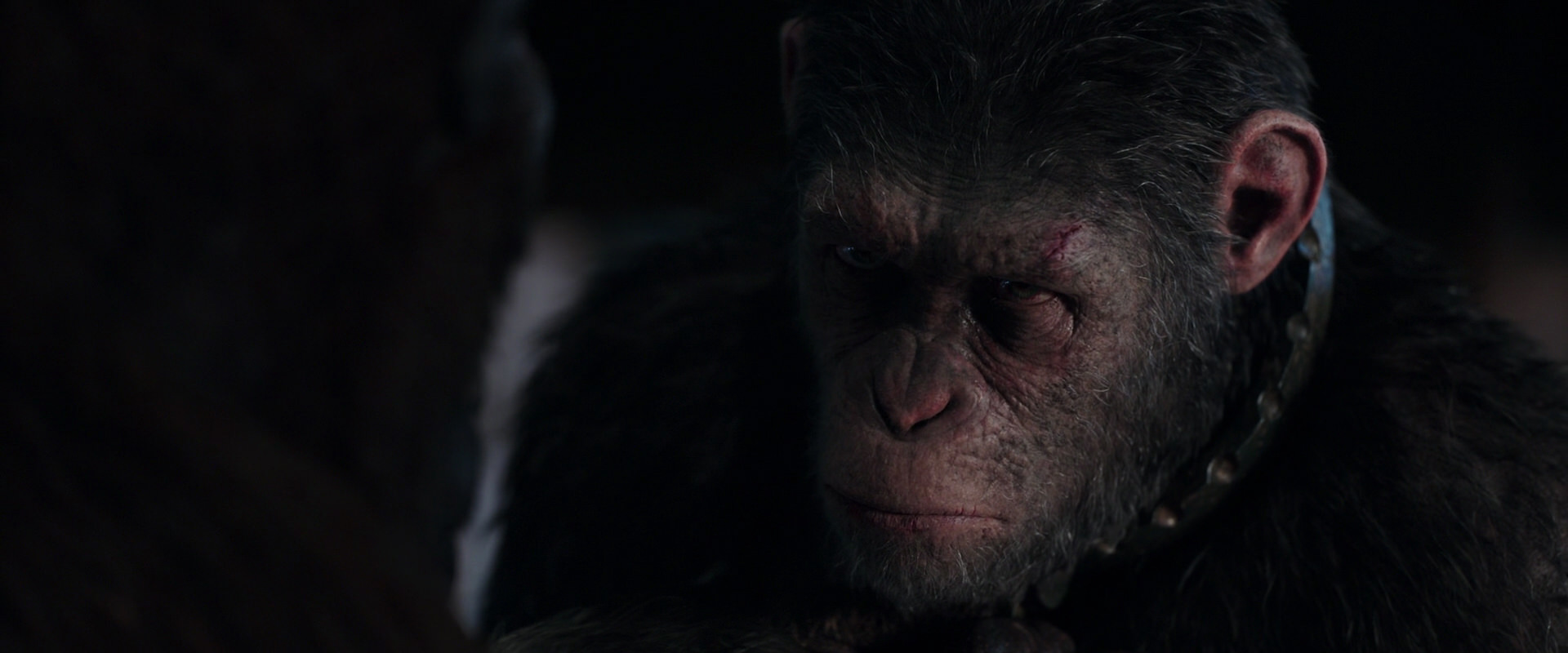 War for the Planet of the Apes (2017) movie still 11845