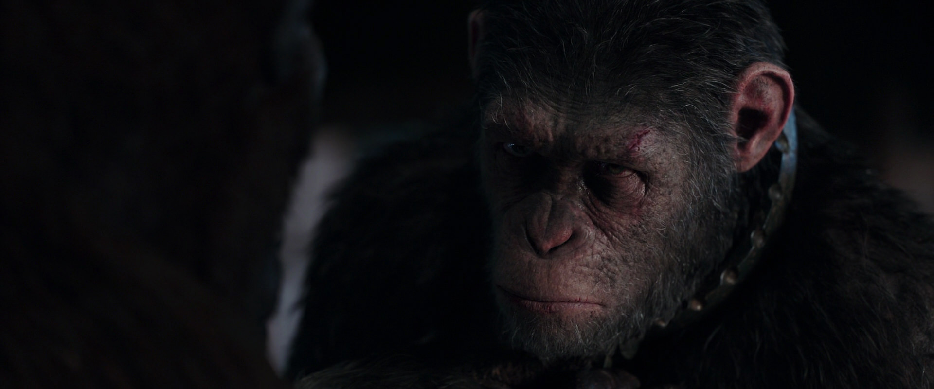 War for the Planet of the Apes (2017) HD screenshot 11846