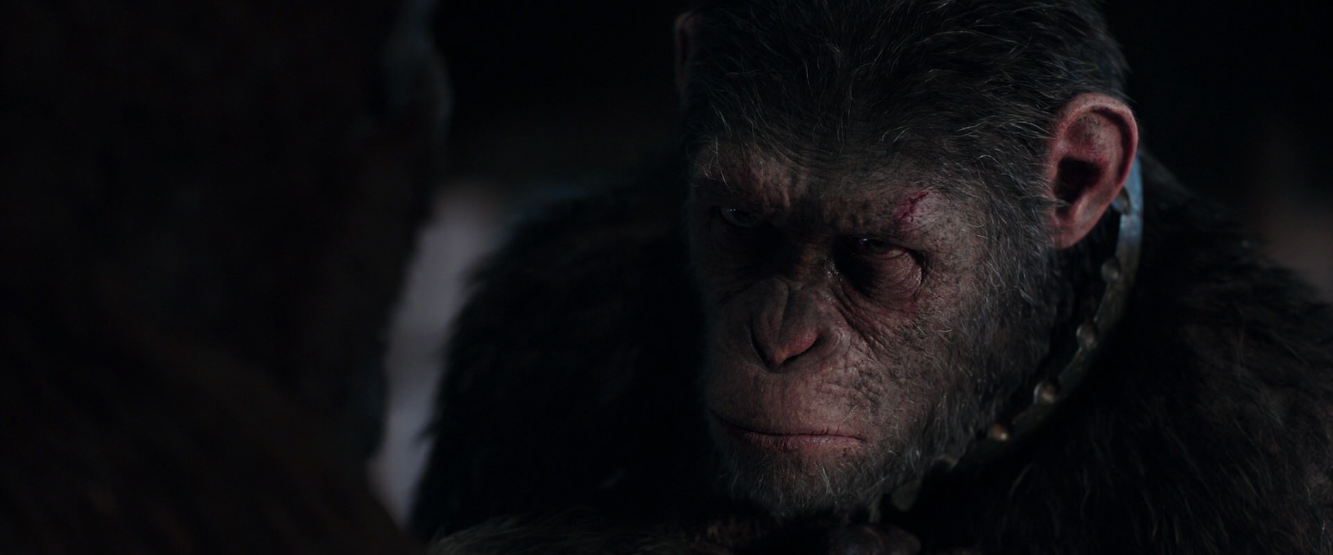 War for the Planet of the Apes (2017) screencap 11847