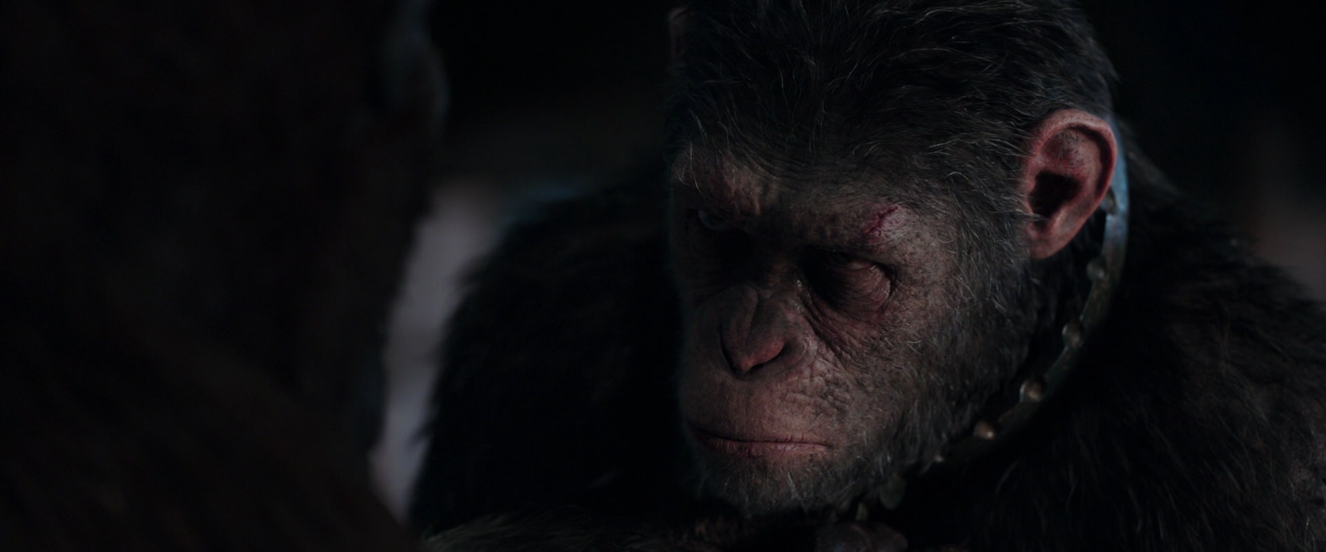War for the Planet of the Apes (2017) movie still 11848