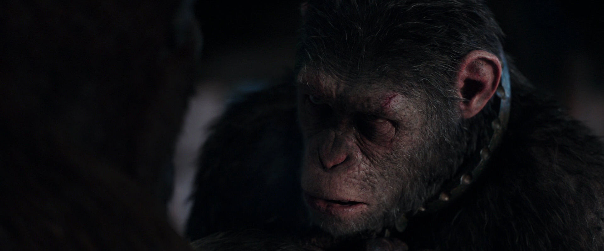 War for the Planet of the Apes (2017) HD screenshot 11849