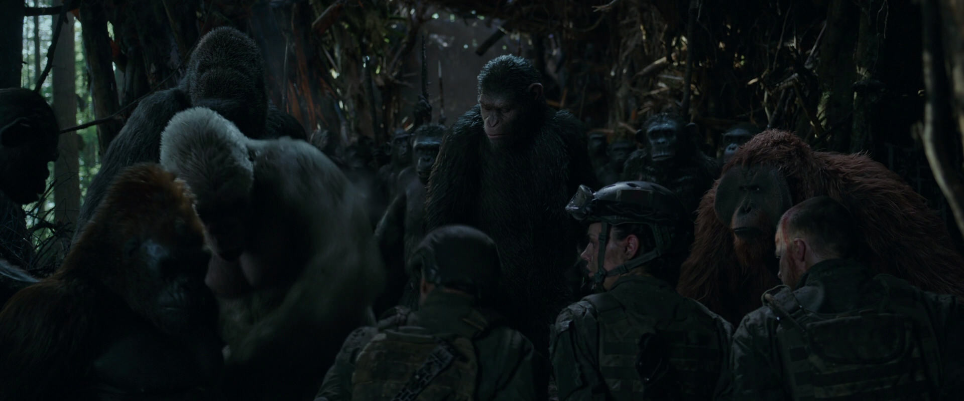 War for the Planet of the Apes (2017) screencap 1185