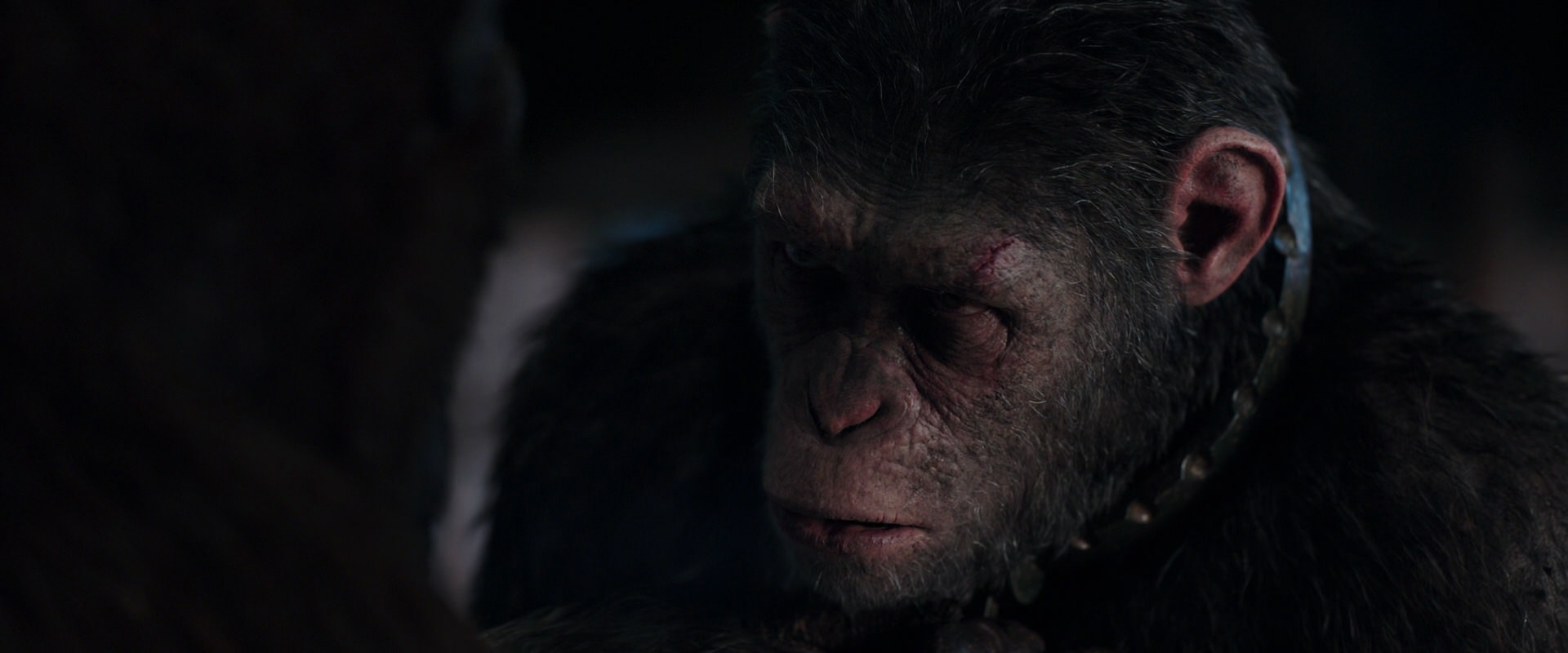 War for the Planet of the Apes (2017) screencap 11850