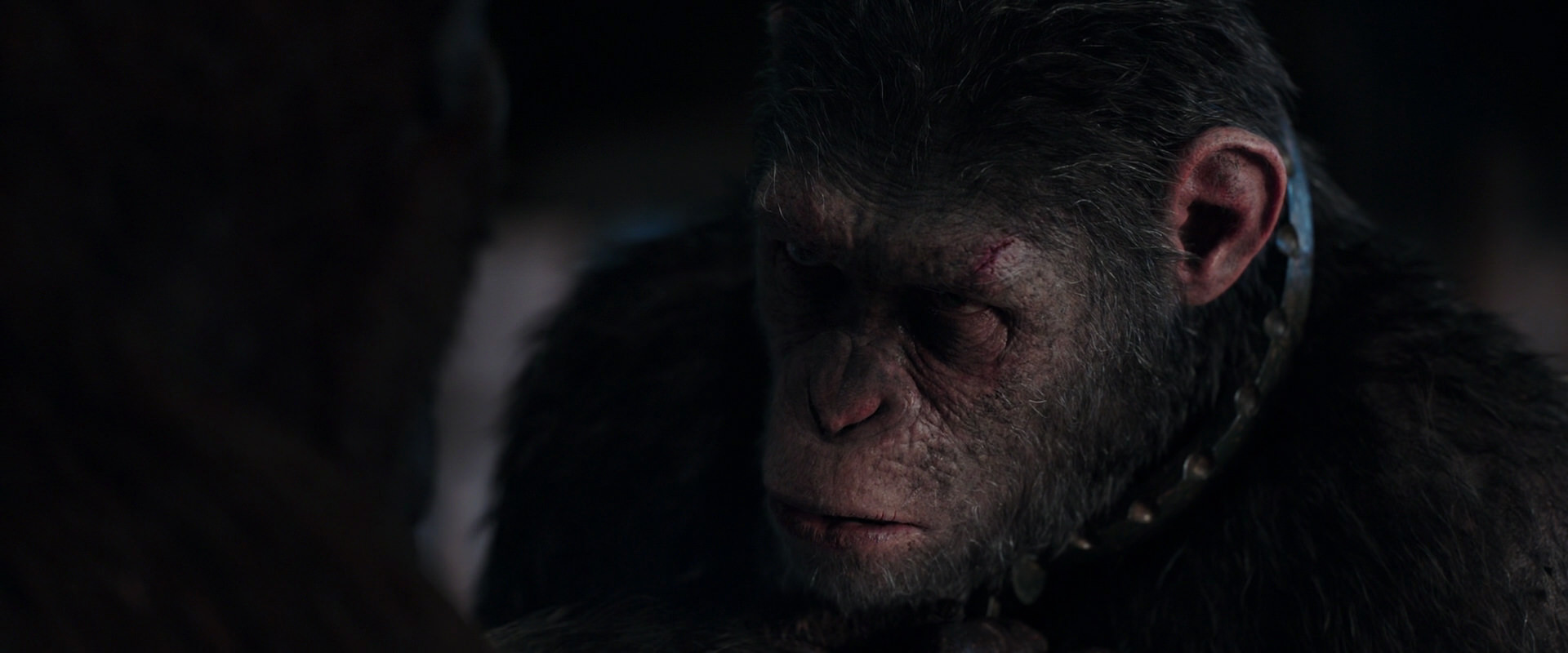 War for the Planet of the Apes (2017) movie still 11851