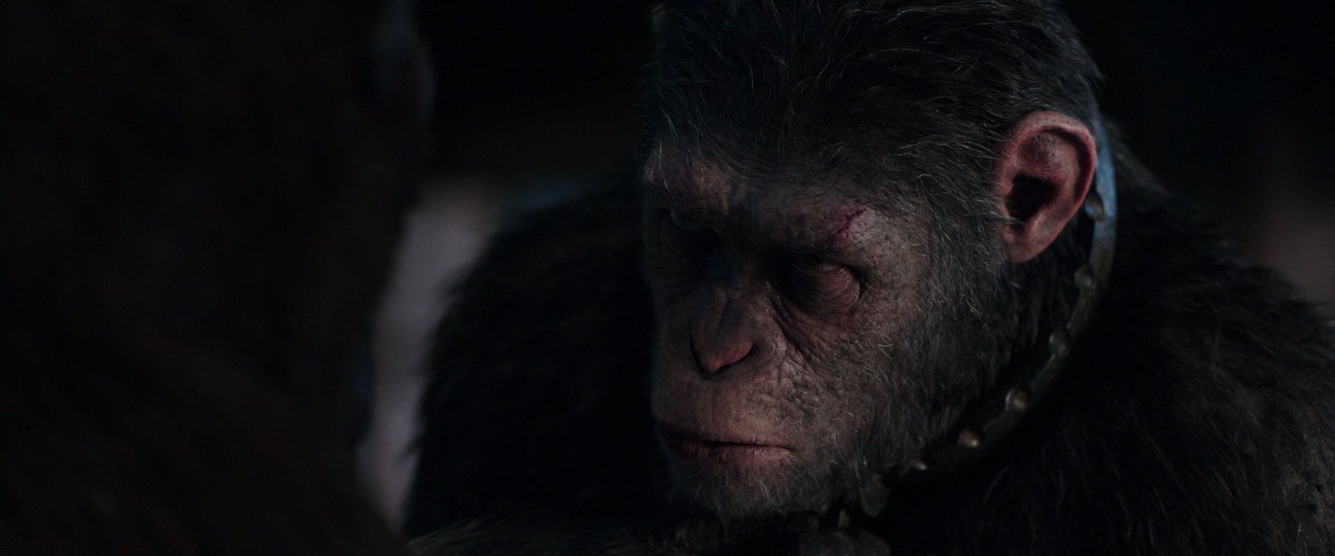 War for the Planet of the Apes (2017) HD screenshot 11852
