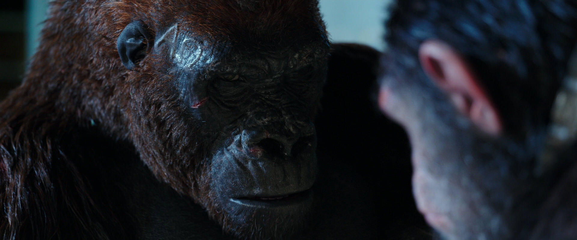 War for the Planet of the Apes (2017) screencap 11853