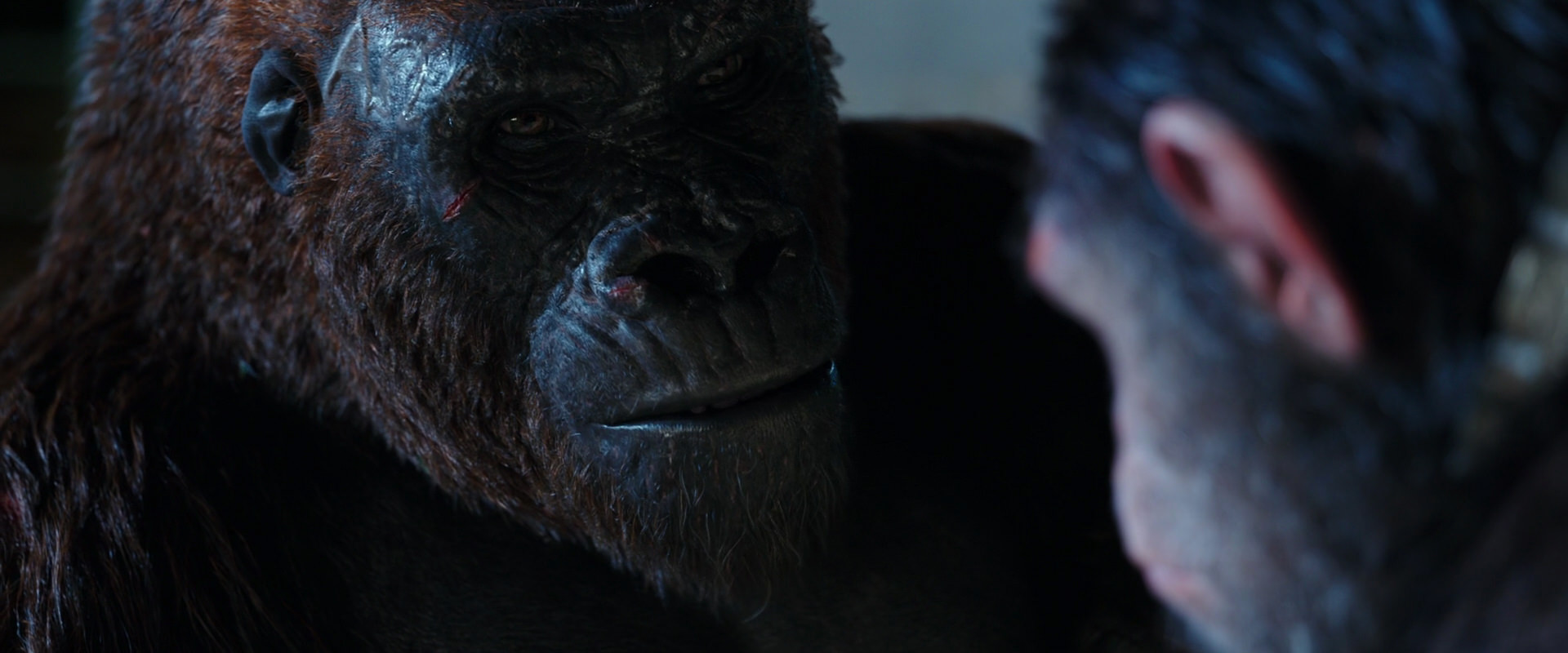War for the Planet of the Apes (2017) HD screenshot 11855