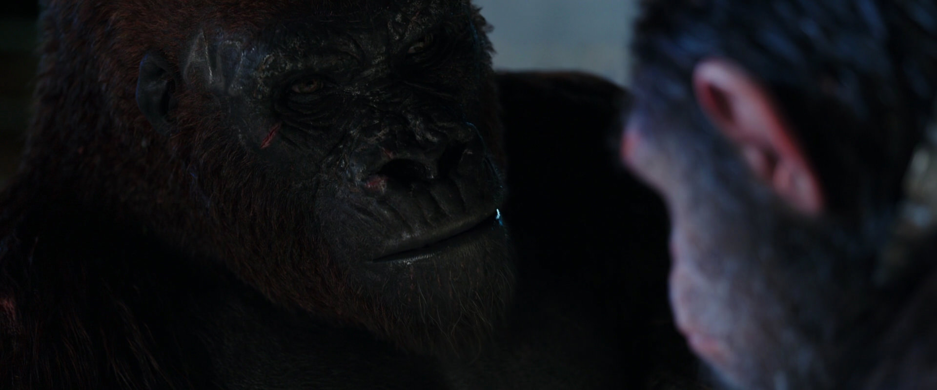 War for the Planet of the Apes (2017) screencap 11856