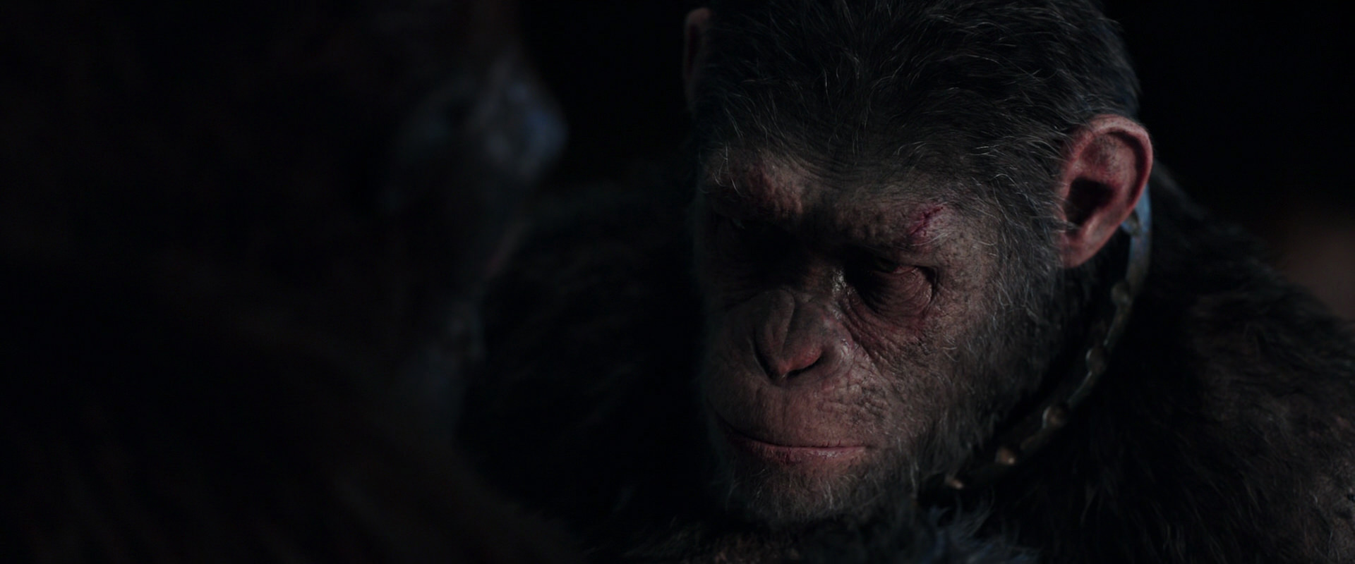 War for the Planet of the Apes (2017) movie still 11857