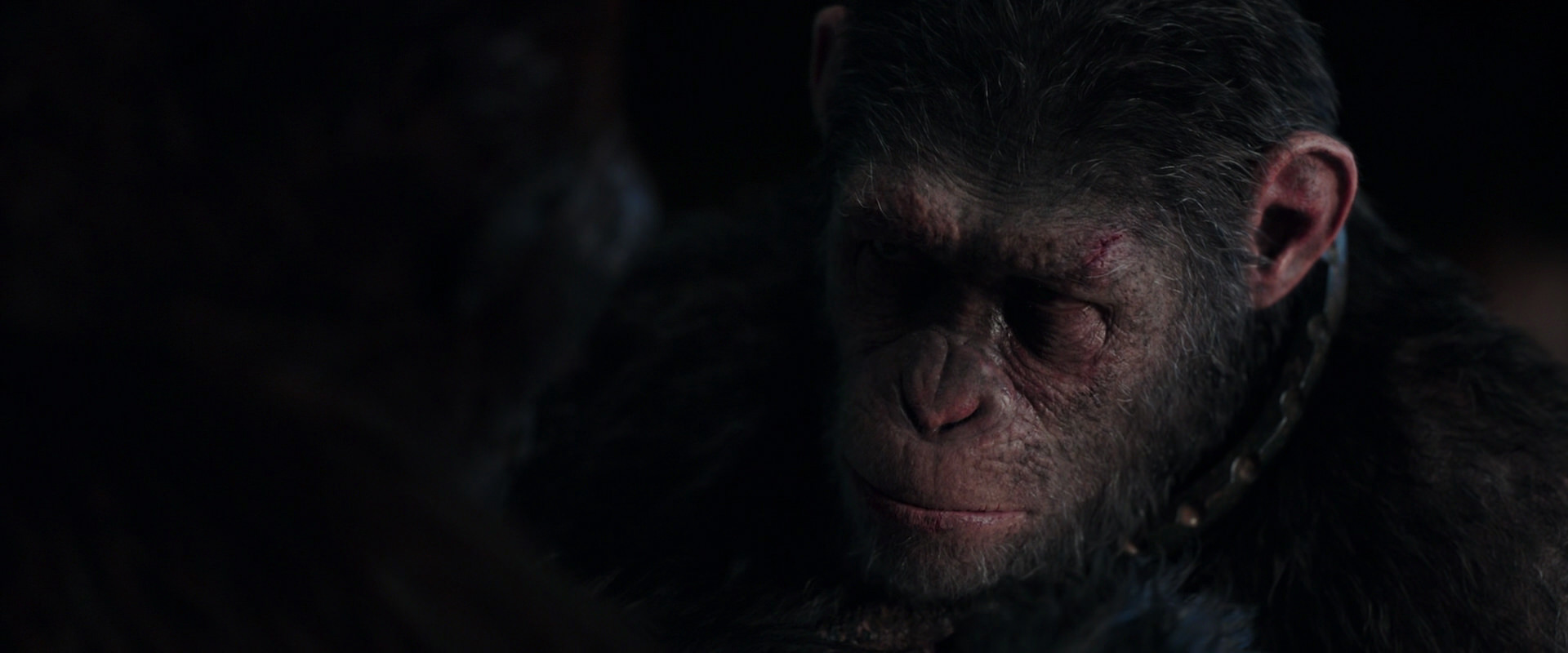 War for the Planet of the Apes (2017) HD screenshot 11858