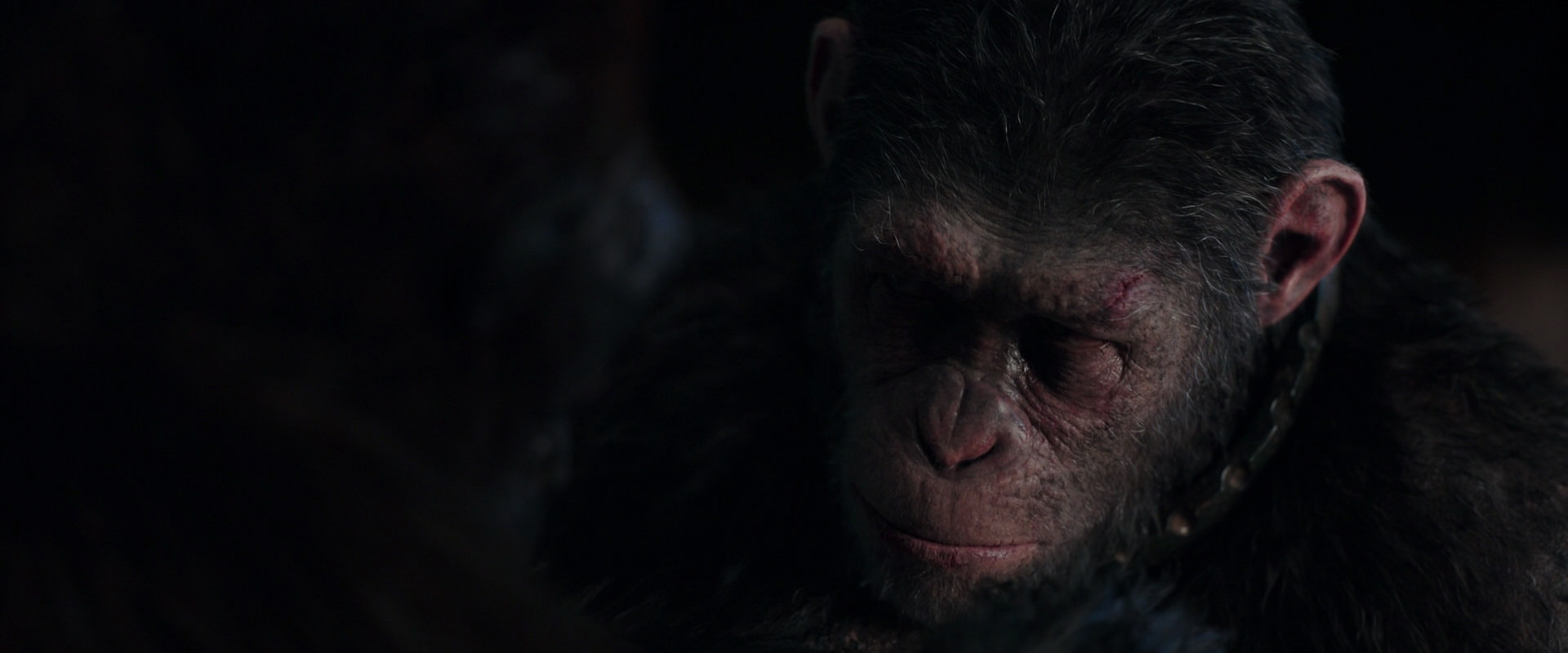 War for the Planet of the Apes (2017) screencap 11859