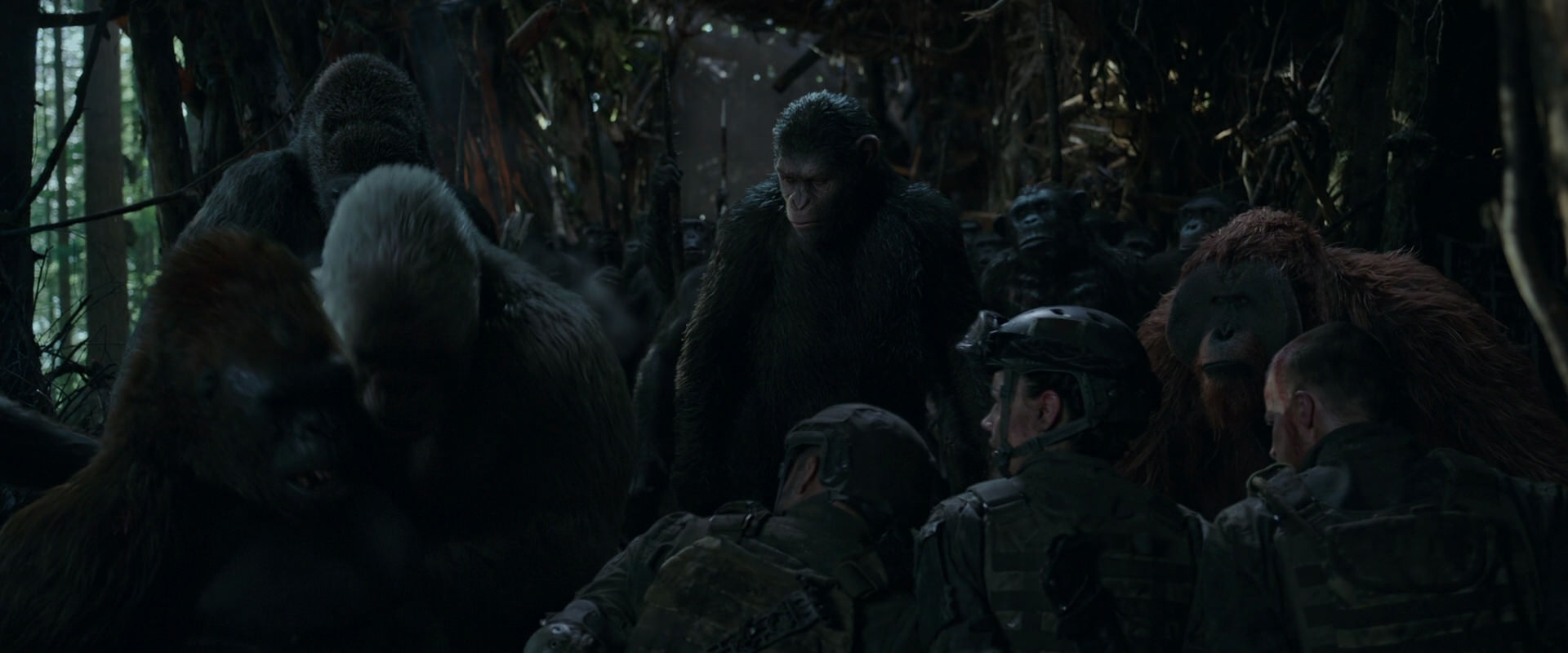 War for the Planet of the Apes (2017) movie still 1186