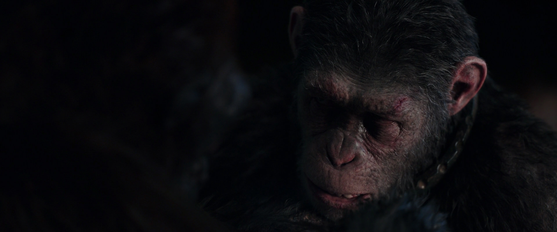 War for the Planet of the Apes (2017) movie still 11860
