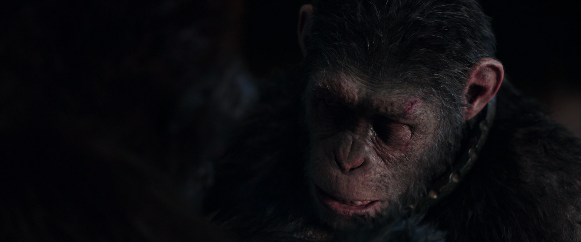 War for the Planet of the Apes (2017) HD screenshot 11861