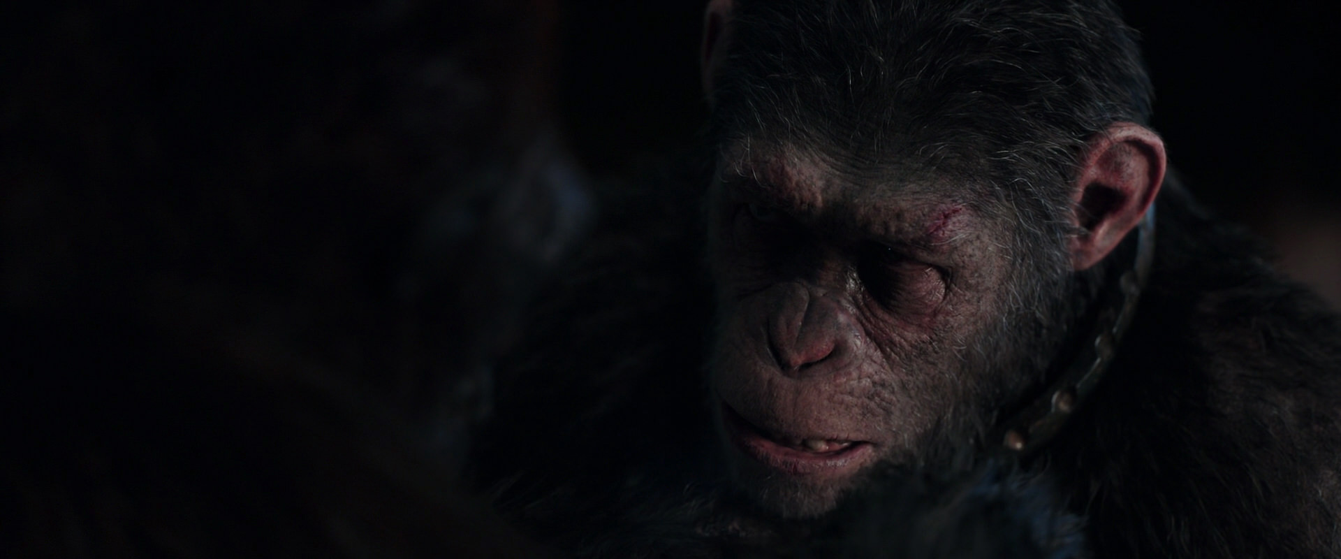 War for the Planet of the Apes (2017) screencap 11862