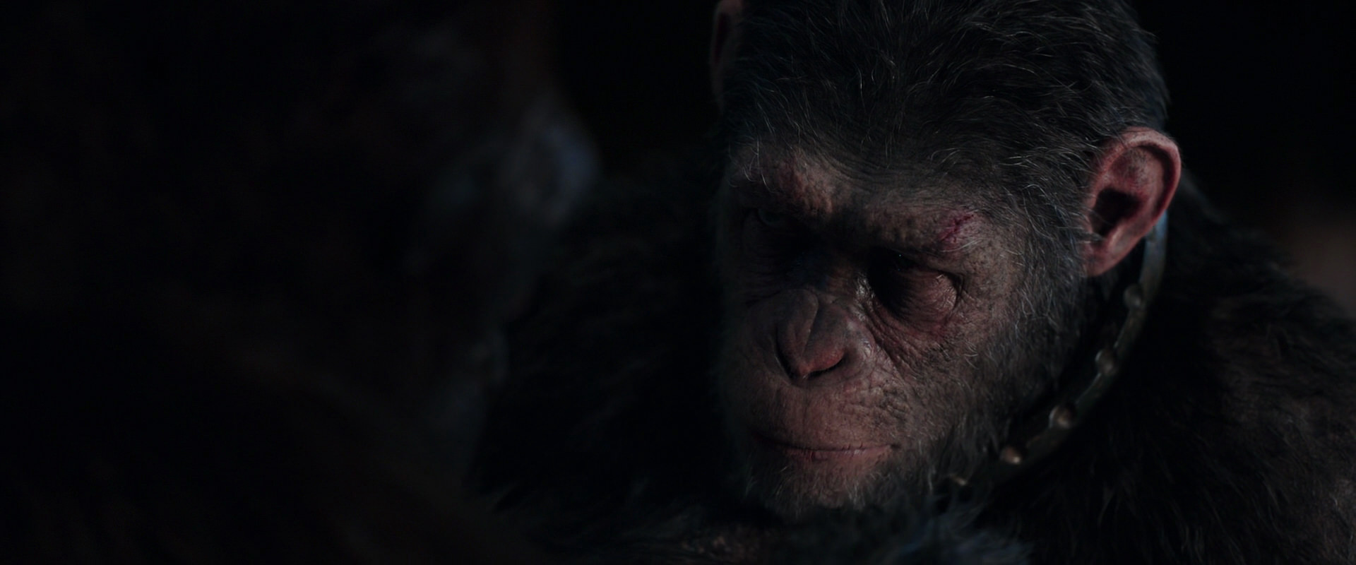 War for the Planet of the Apes (2017) movie still 11863