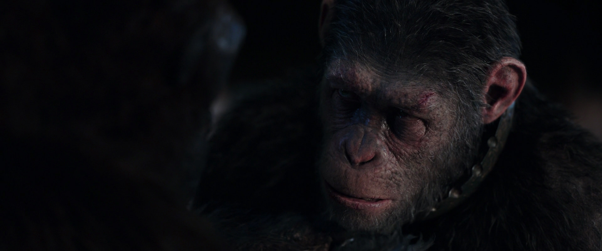 War for the Planet of the Apes (2017) HD screenshot 11864