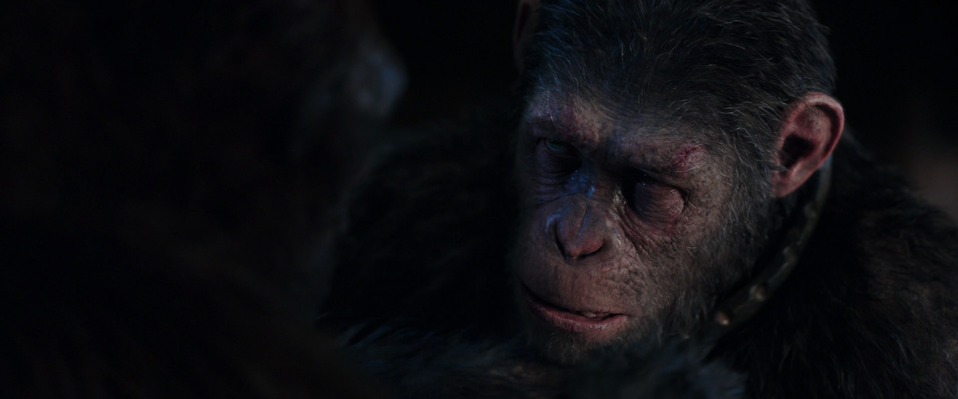 War for the Planet of the Apes (2017) screencap 11865