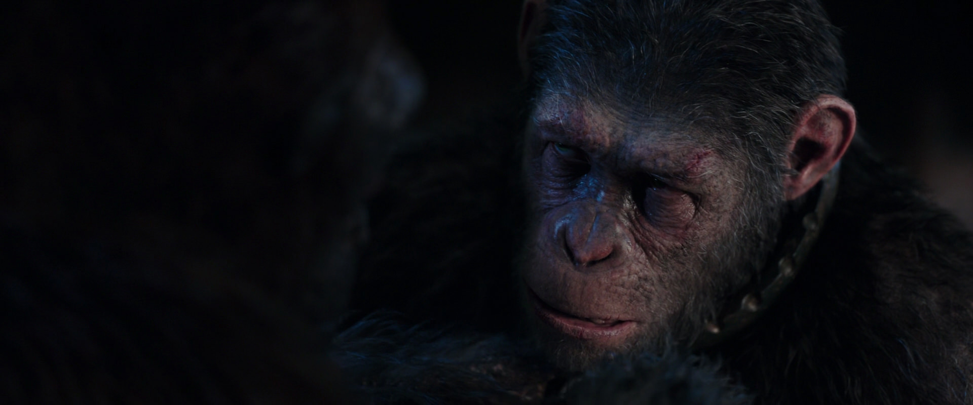 War for the Planet of the Apes (2017) movie still 11866