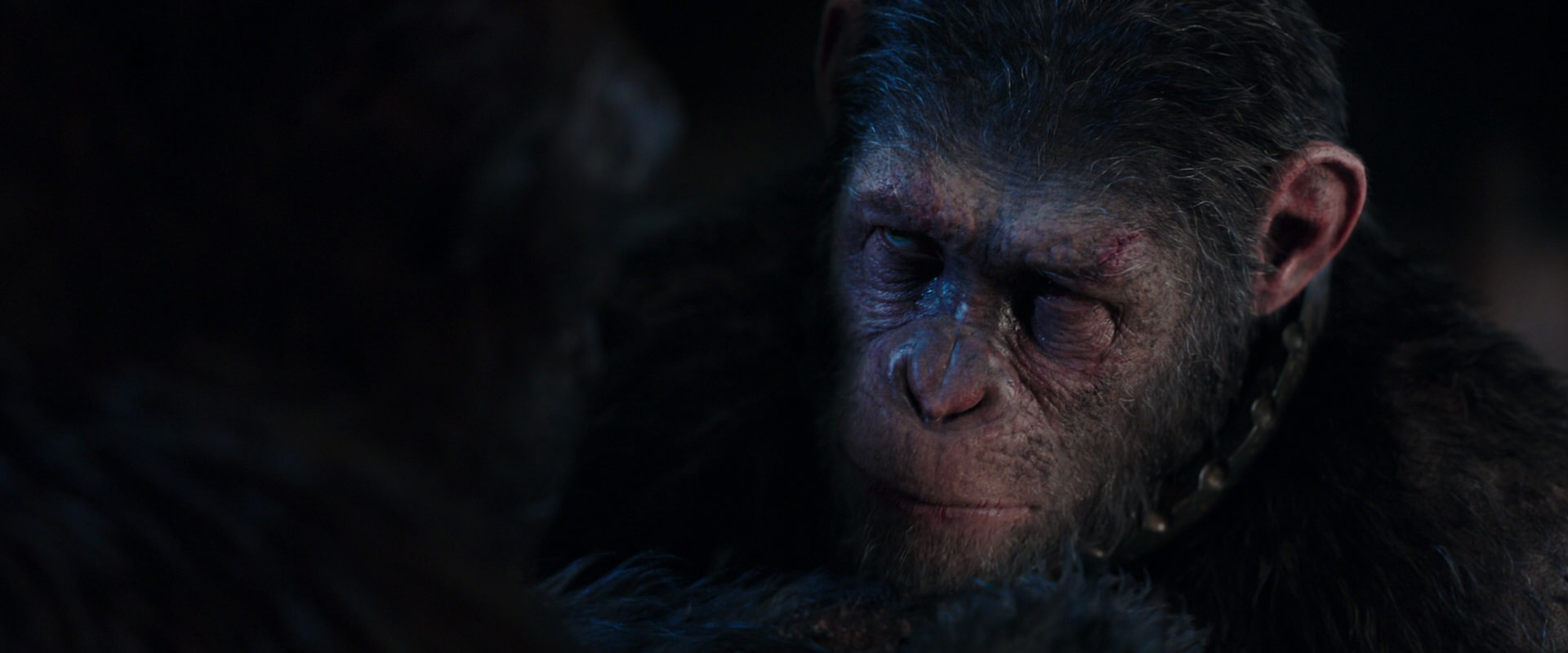 War for the Planet of the Apes (2017) HD screenshot 11867