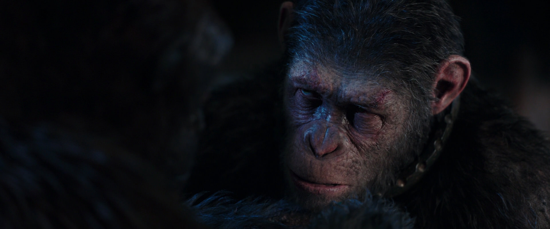 War for the Planet of the Apes (2017) screencap 11868