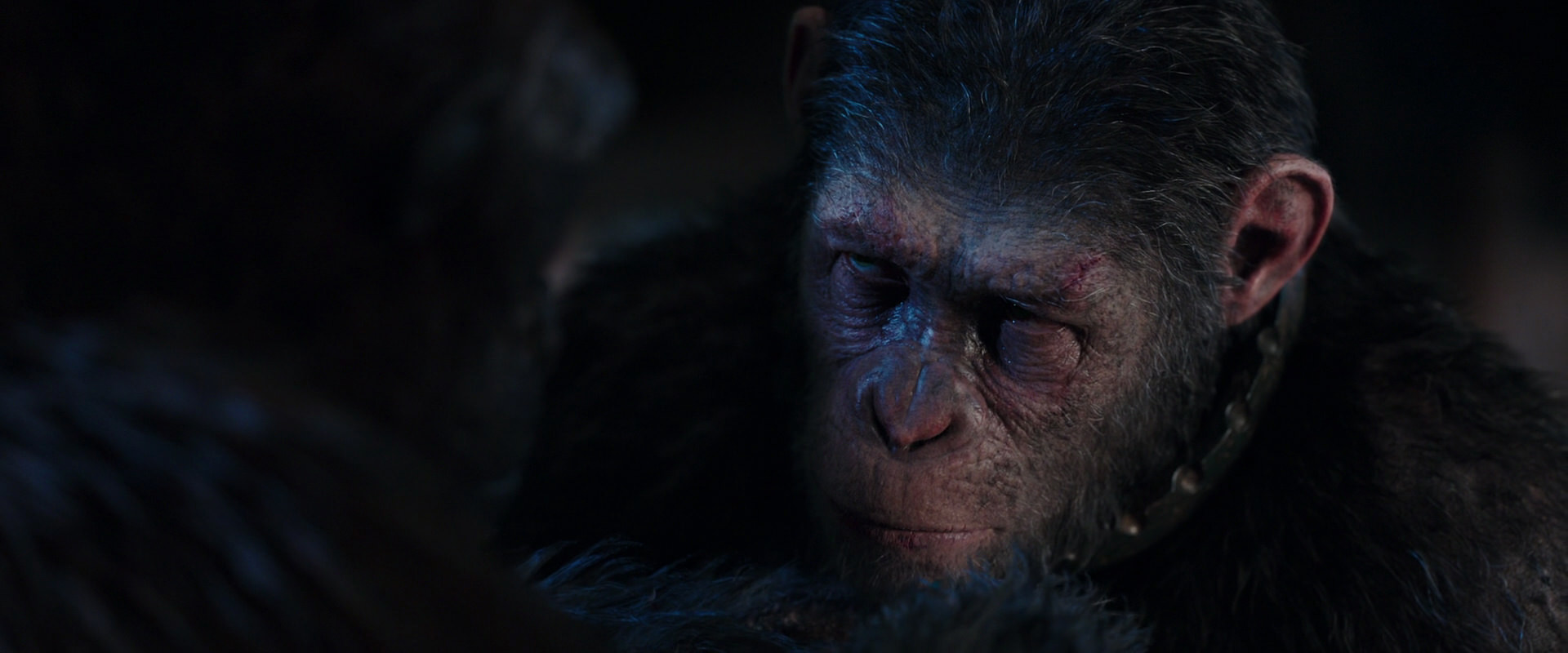 War for the Planet of the Apes (2017) movie still 11869