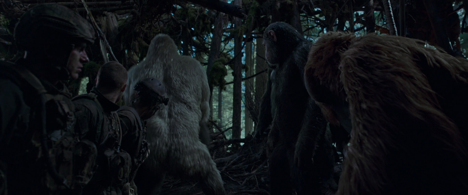 War for the Planet of the Apes (2017) HD screenshot 1187