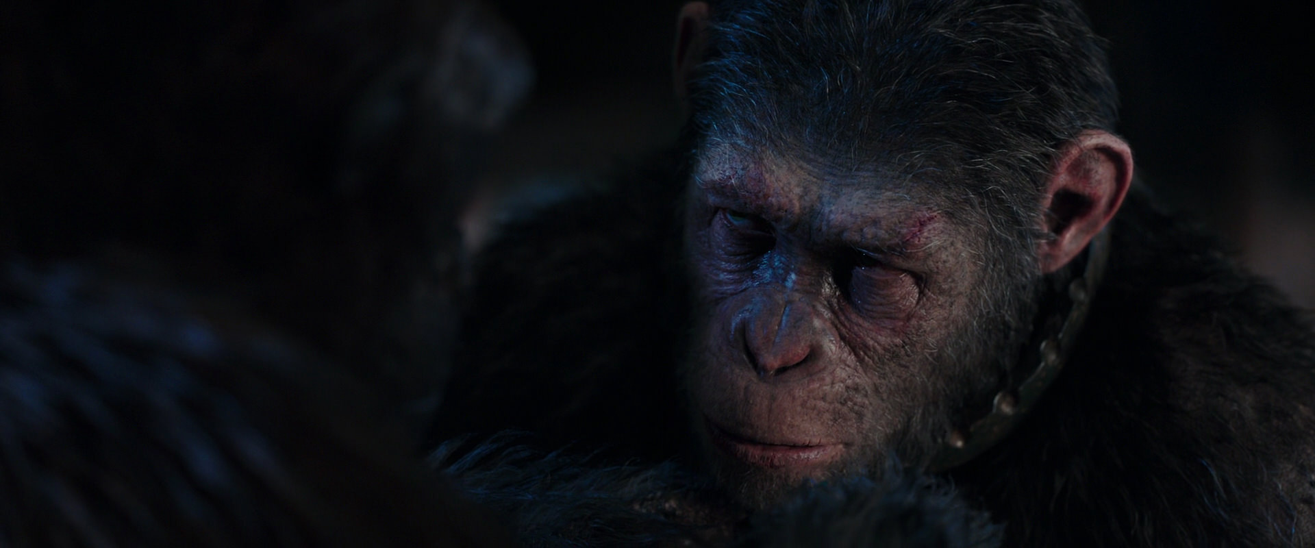 War for the Planet of the Apes (2017) HD screenshot 11870