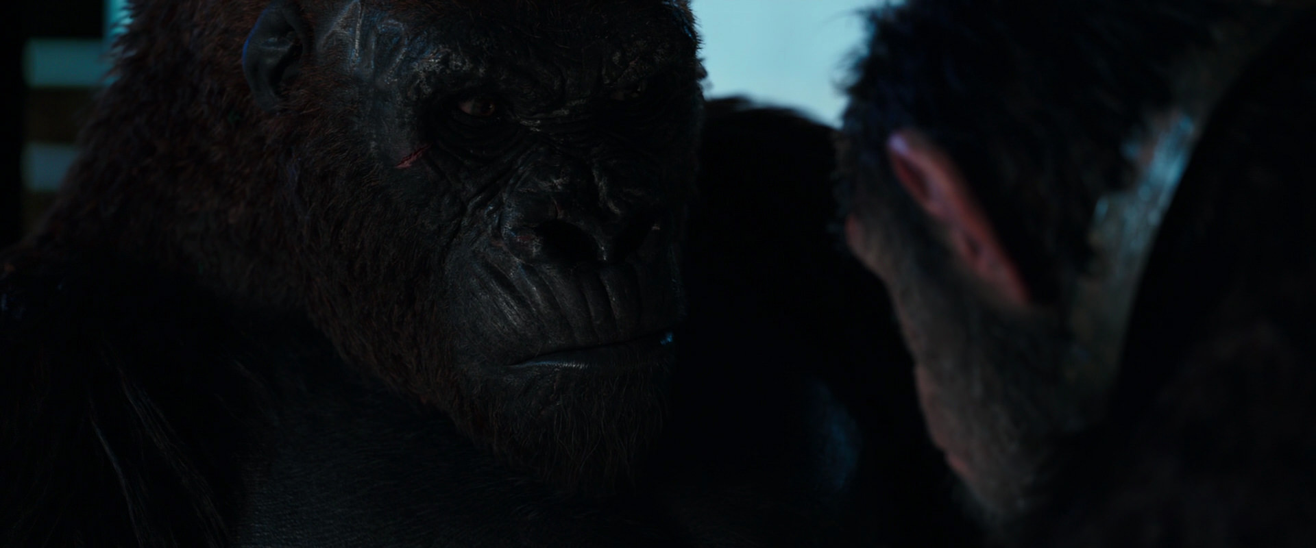 War for the Planet of the Apes (2017) screencap 11871
