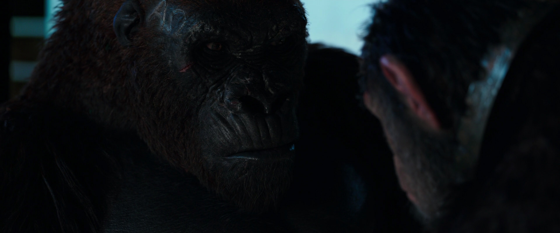War for the Planet of the Apes (2017) movie still 11872