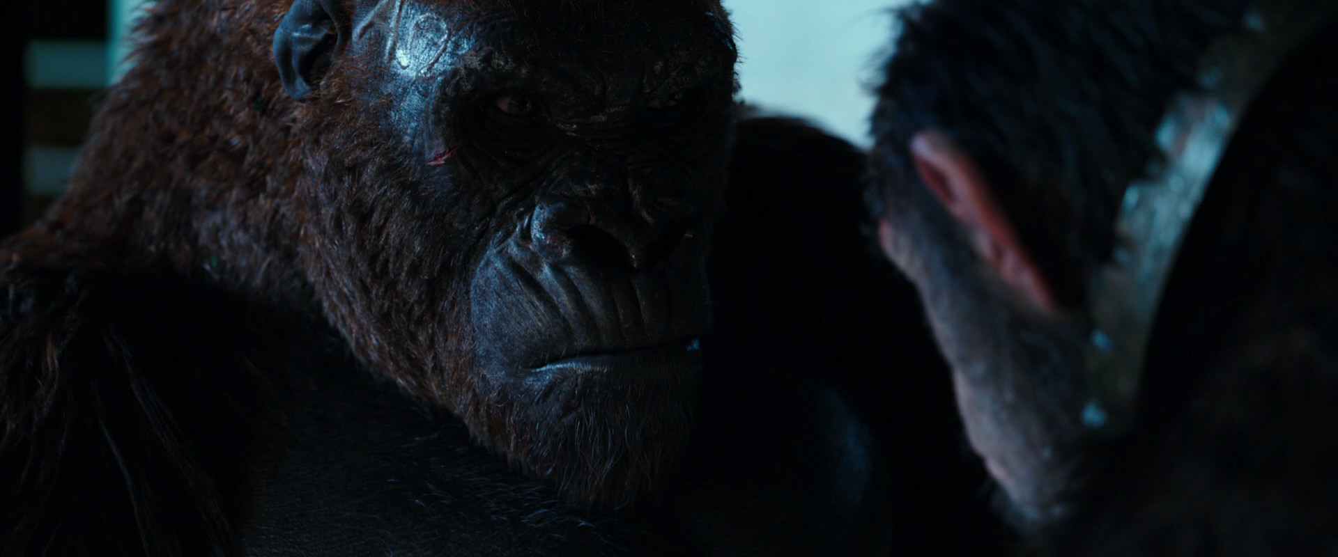 War for the Planet of the Apes (2017) HD screenshot 11873
