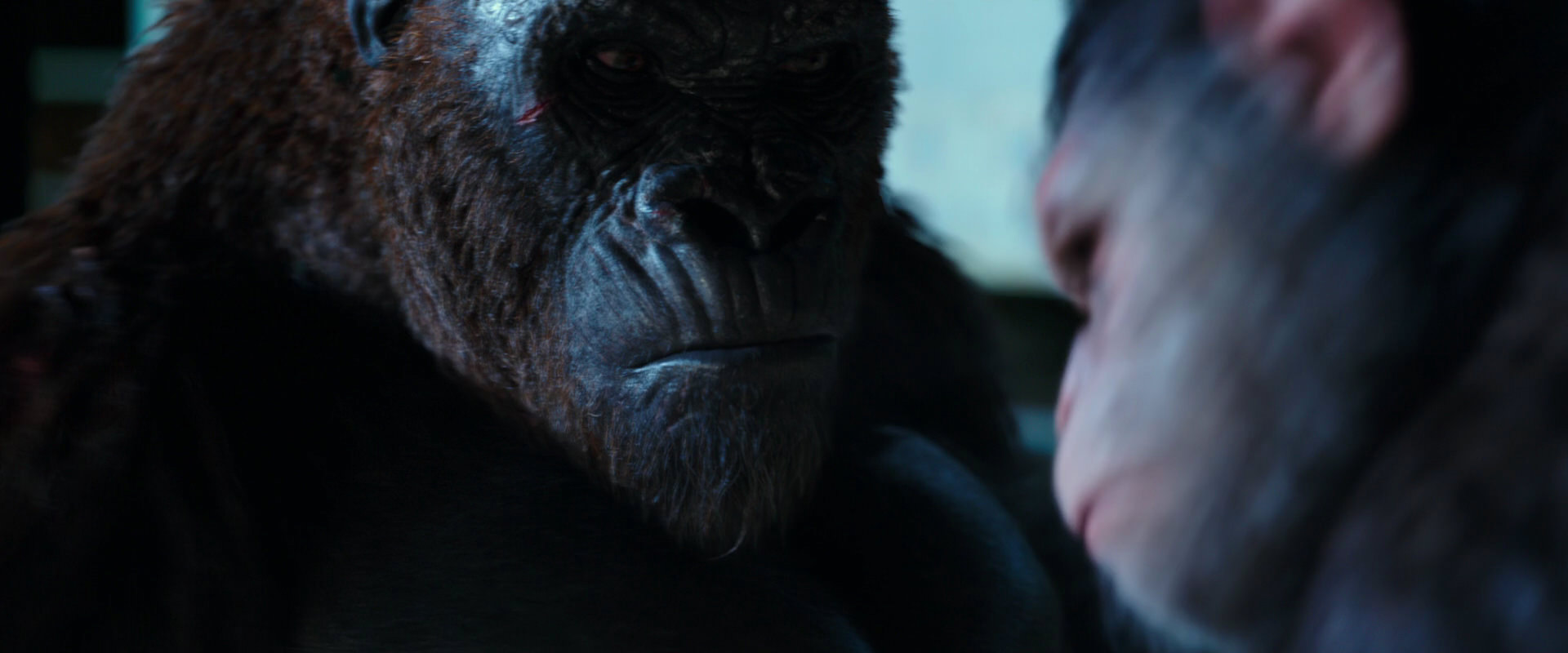 War for the Planet of the Apes (2017) screencap 11874