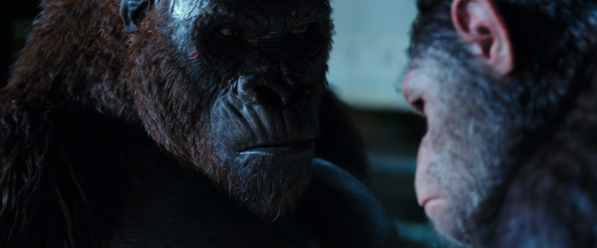 War for the Planet of the Apes (2017) movie still 11875