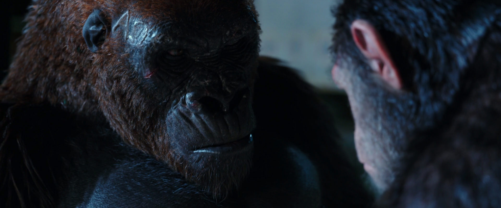 War for the Planet of the Apes (2017) HD screenshot 11876