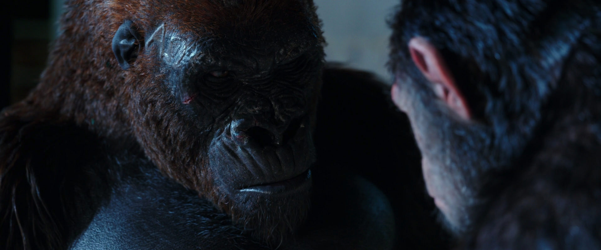 War for the Planet of the Apes (2017) screencap 11877