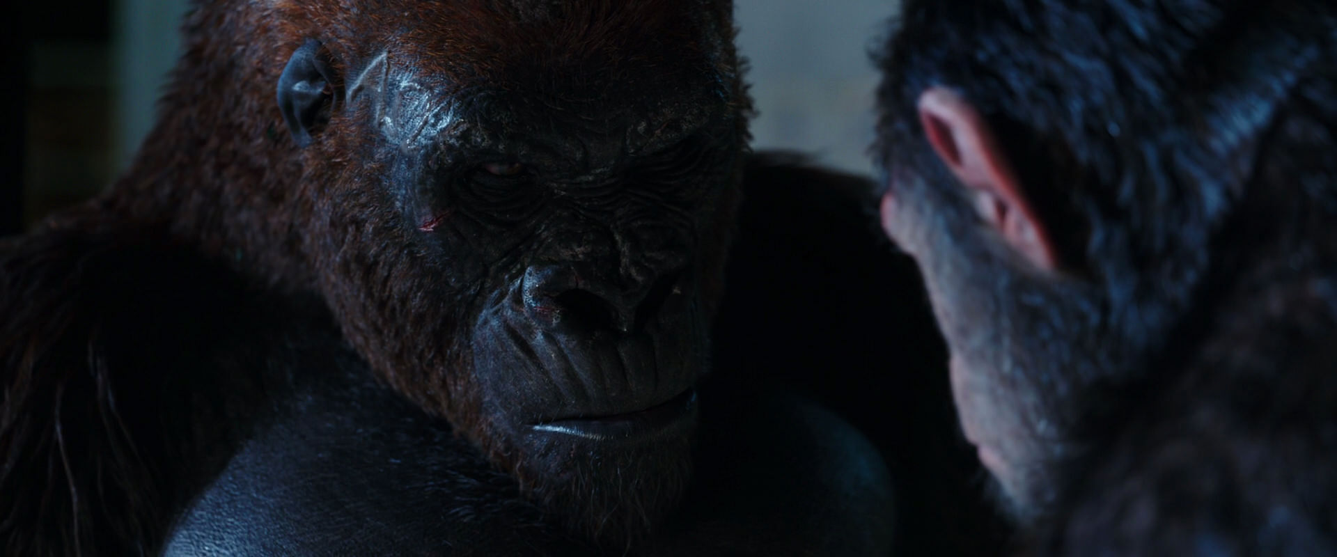 War for the Planet of the Apes (2017) movie still 11878