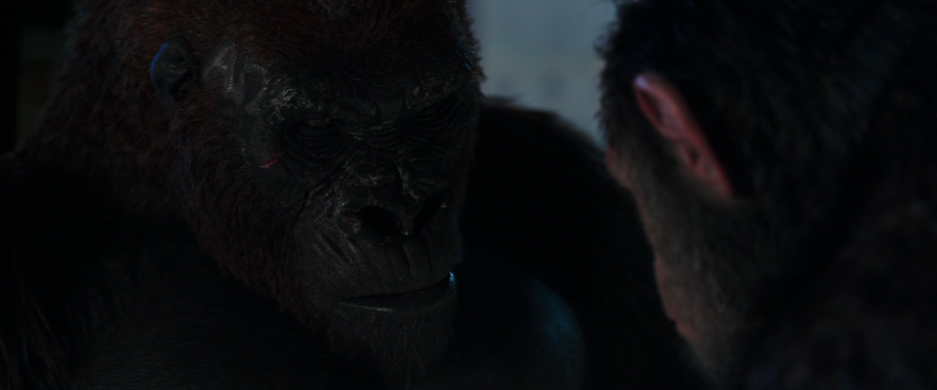War for the Planet of the Apes (2017) HD screenshot 11879