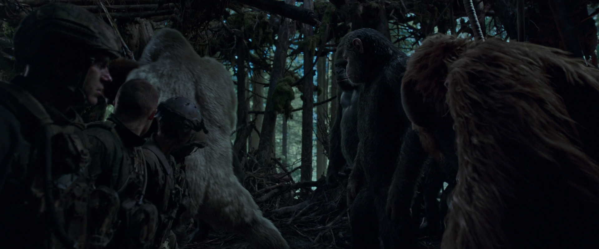 War for the Planet of the Apes (2017) screencap 1188