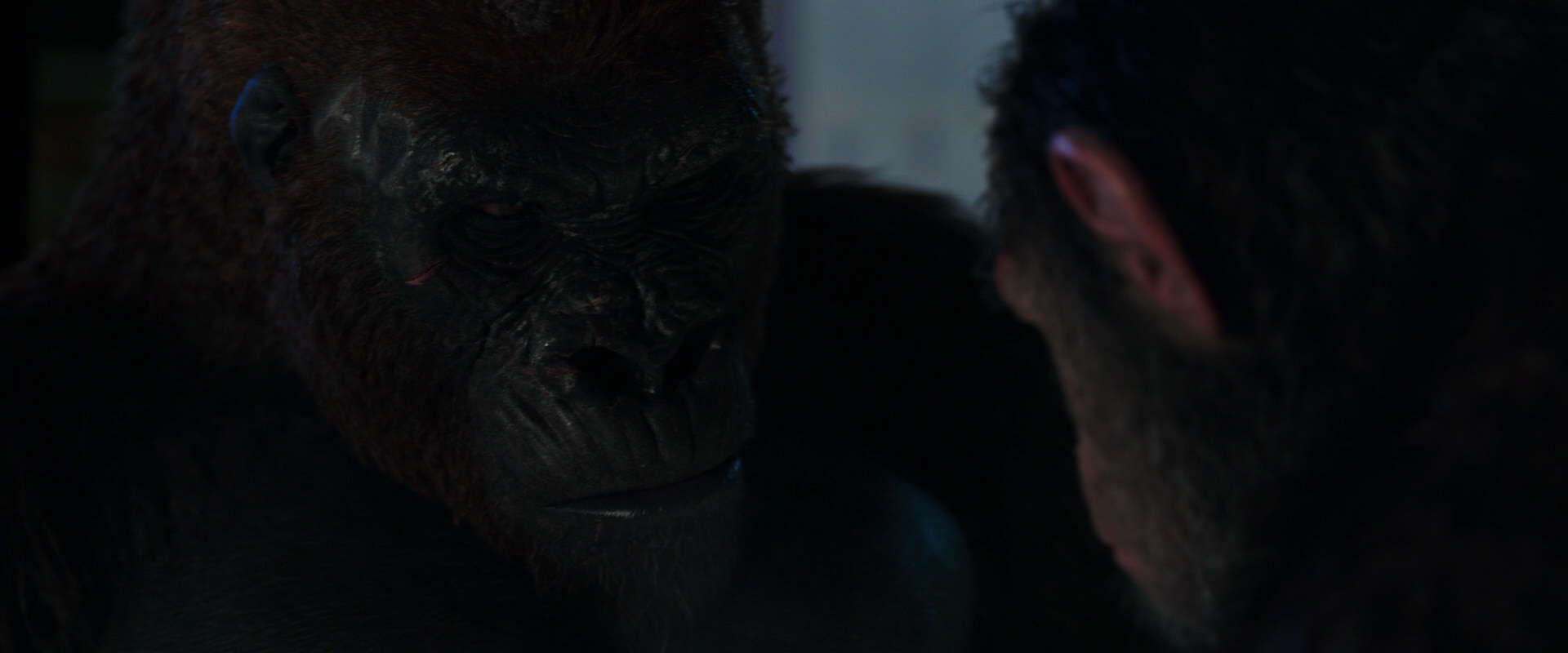 War for the Planet of the Apes (2017) screencap 11880