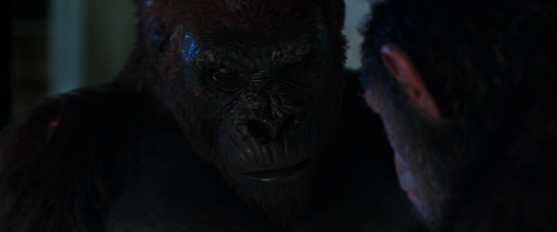 War for the Planet of the Apes (2017) movie still 11881