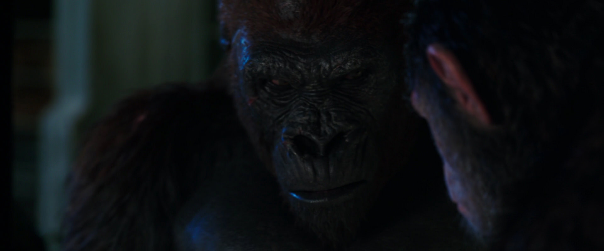 War for the Planet of the Apes (2017) HD screenshot 11882