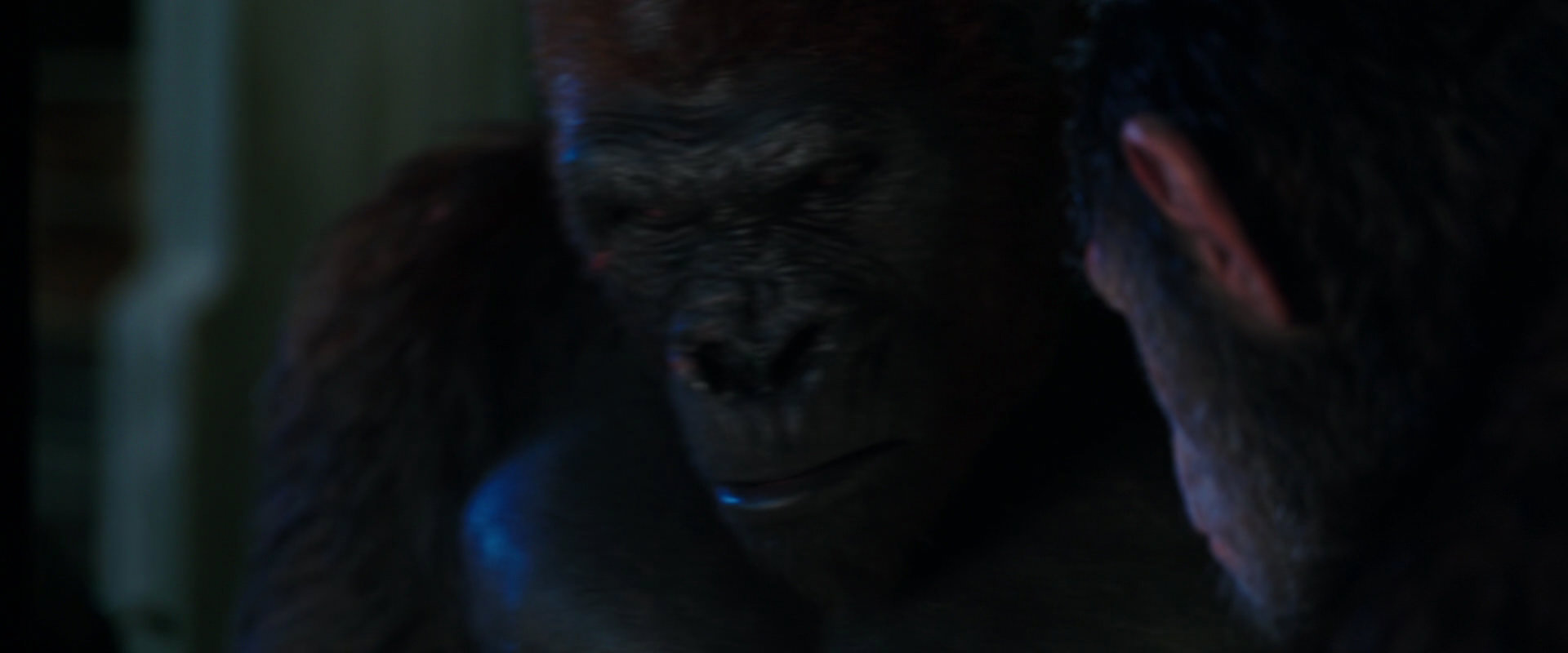 War for the Planet of the Apes (2017) screencap 11883