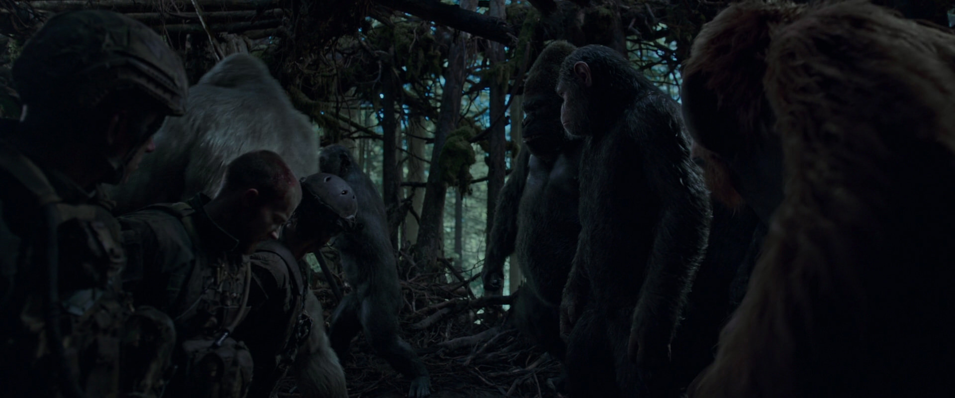 War for the Planet of the Apes (2017) movie still 1189
