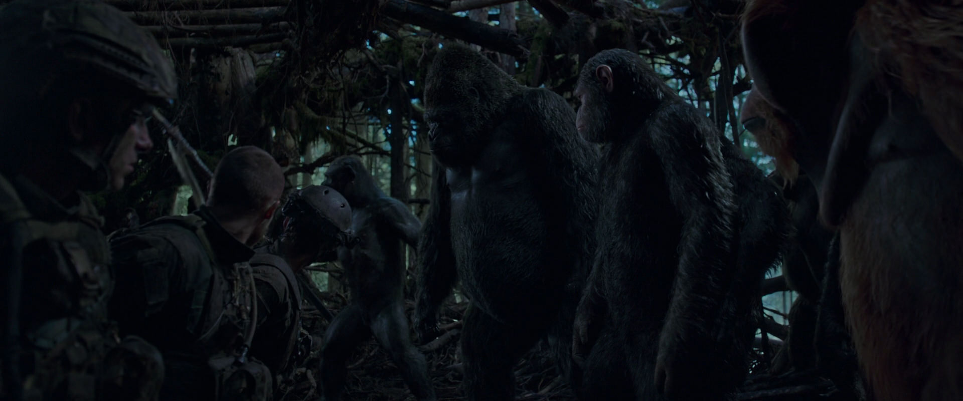 War for the Planet of the Apes (2017) screencap 1191