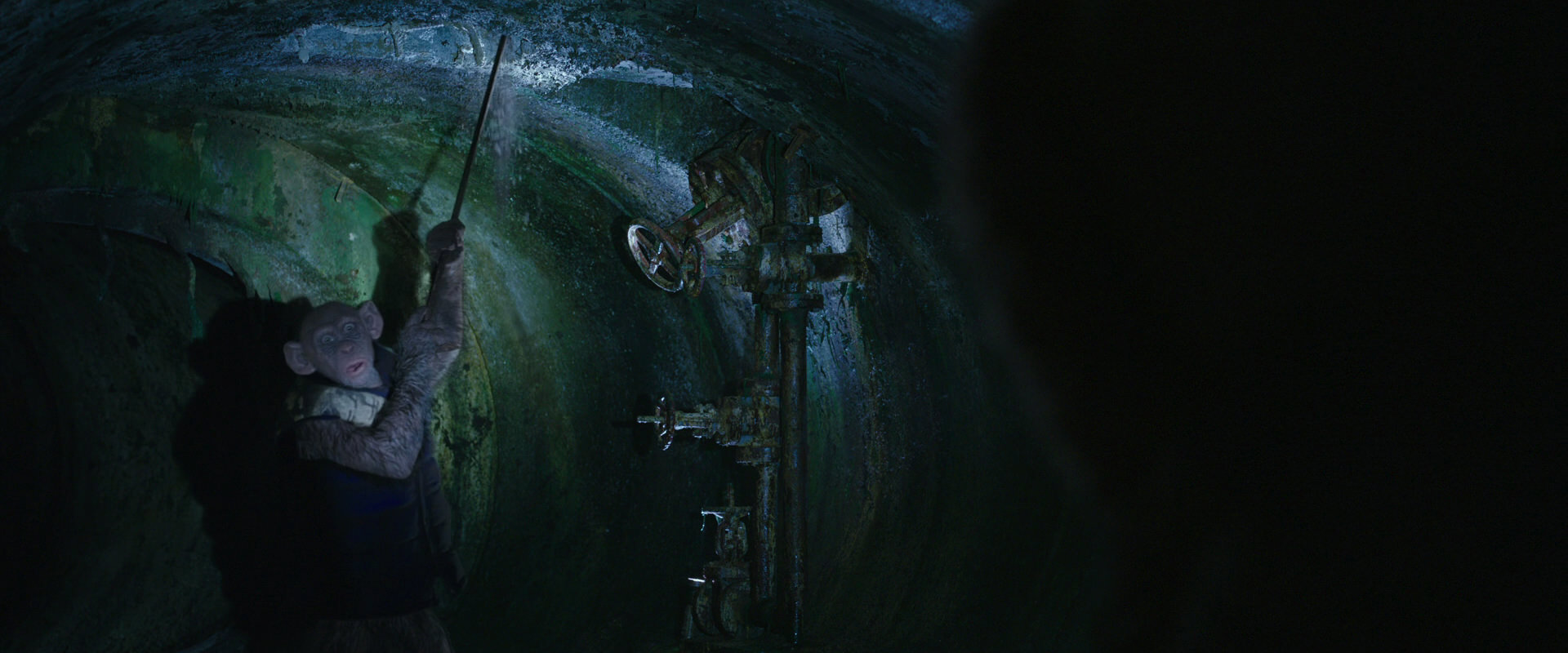 War for the Planet of the Apes (2017) screencap 11913