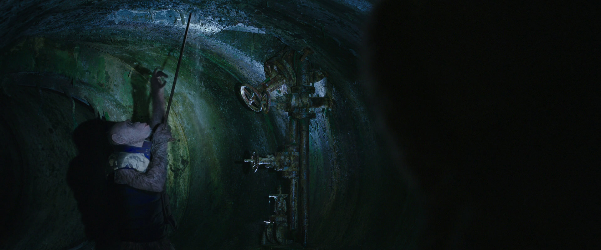 War for the Planet of the Apes (2017) screencap 11916