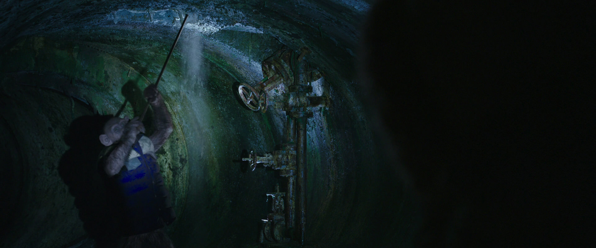 War for the Planet of the Apes (2017) HD screenshot 11918